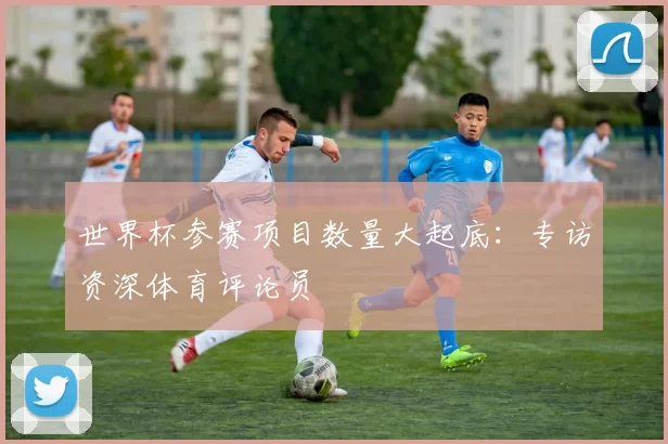 世界杯参赛项目数量大起底：专访资深体育评论员