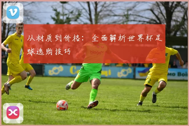 从材质到价格：全面解析世界杯足球选购技巧