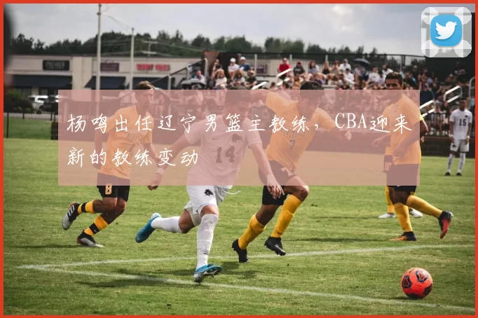 杨鸣出任辽宁男篮主教练，CBA迎来新的教练变动