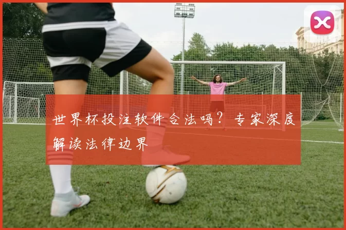 世界杯投注软件合法吗？专家深度解读法律边界