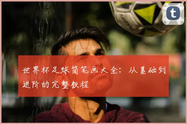 世界杯足球简笔画大全：从基础到进阶的完整教程