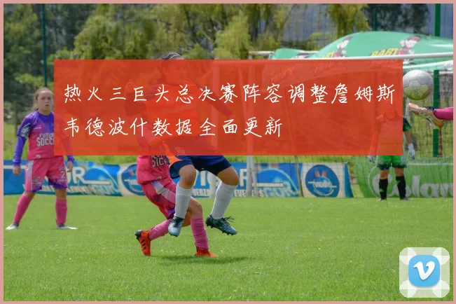 热火三巨头总决赛阵容调整詹姆斯韦德波什数据全面更新