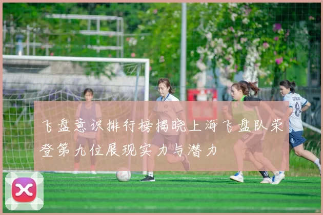 飞盘意识排行榜揭晓上海飞盘队荣登第九位展现实力与潜力