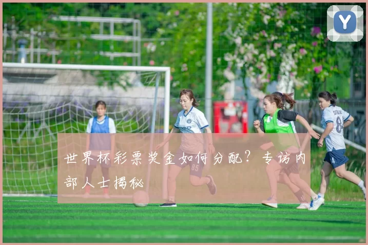 世界杯彩票奖金如何分配？专访内部人士揭秘