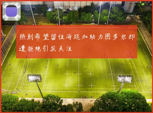 热刺希望留住海廷加助力图多尔却遭拒绝引发关注