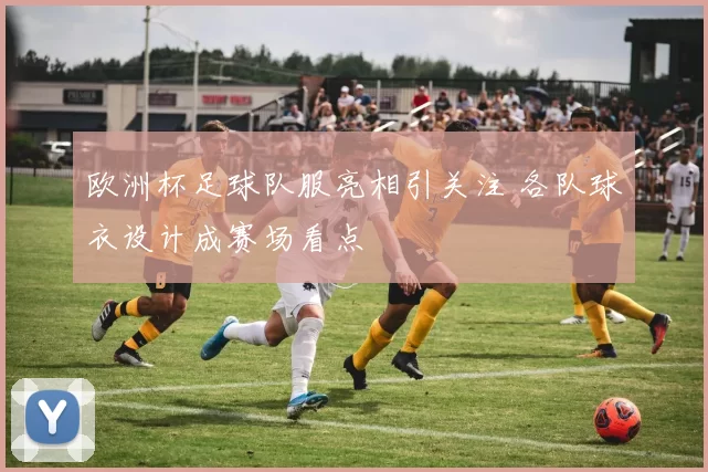 欧洲杯足球队服亮相引关注 各队球衣设计成赛场看点