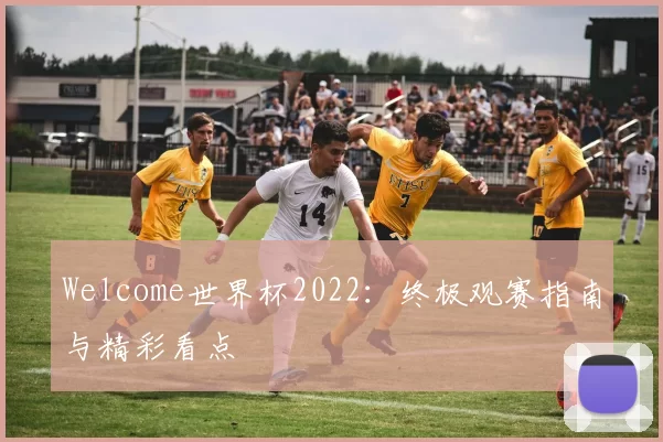 Welcome世界杯2022:终极观赛指南与精彩看点