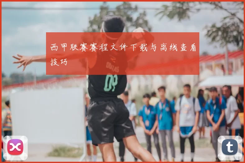 西甲联赛赛程文件下载与离线查看技巧