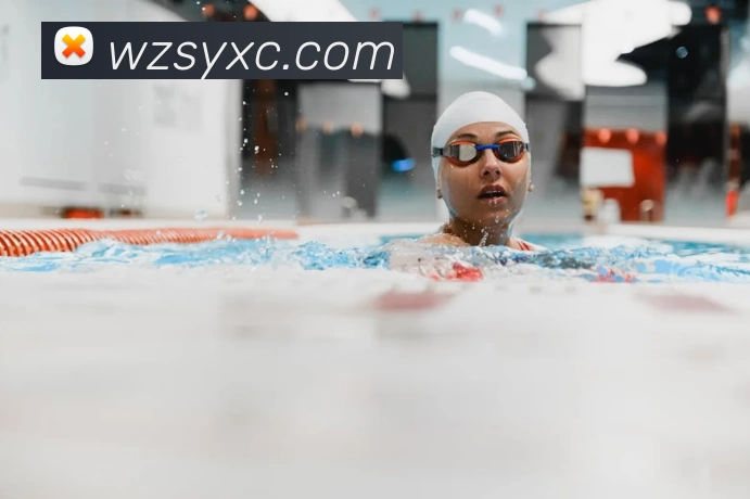 买球赛平台生态图