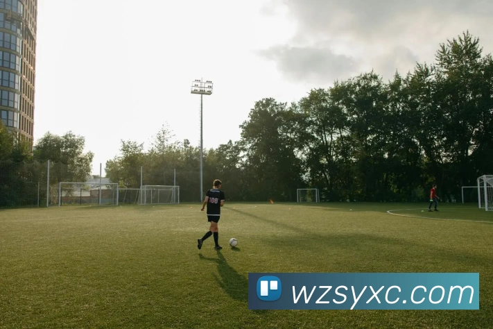 买球赛APP 封面图